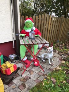 Der Grinch